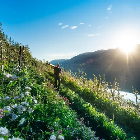 Hardanger Fjord Living Apartman *